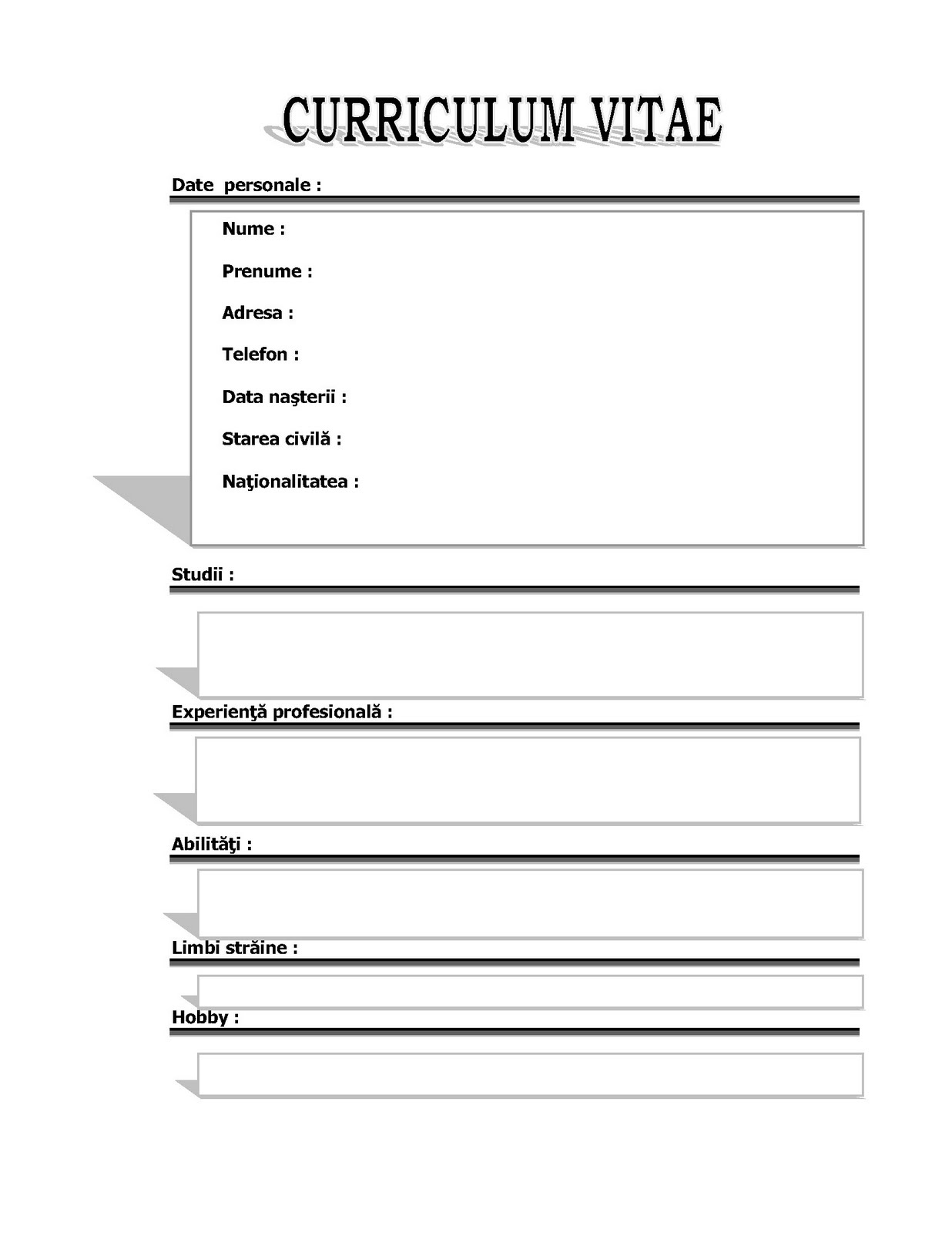 Curriculum vitae tipizat 08 image