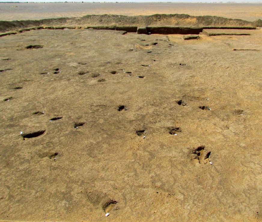 Asad+excavations+in+Sudan.jpg