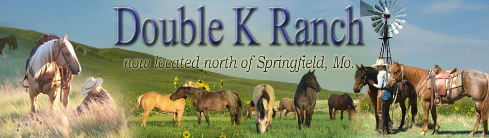 Double K Ranch Horses