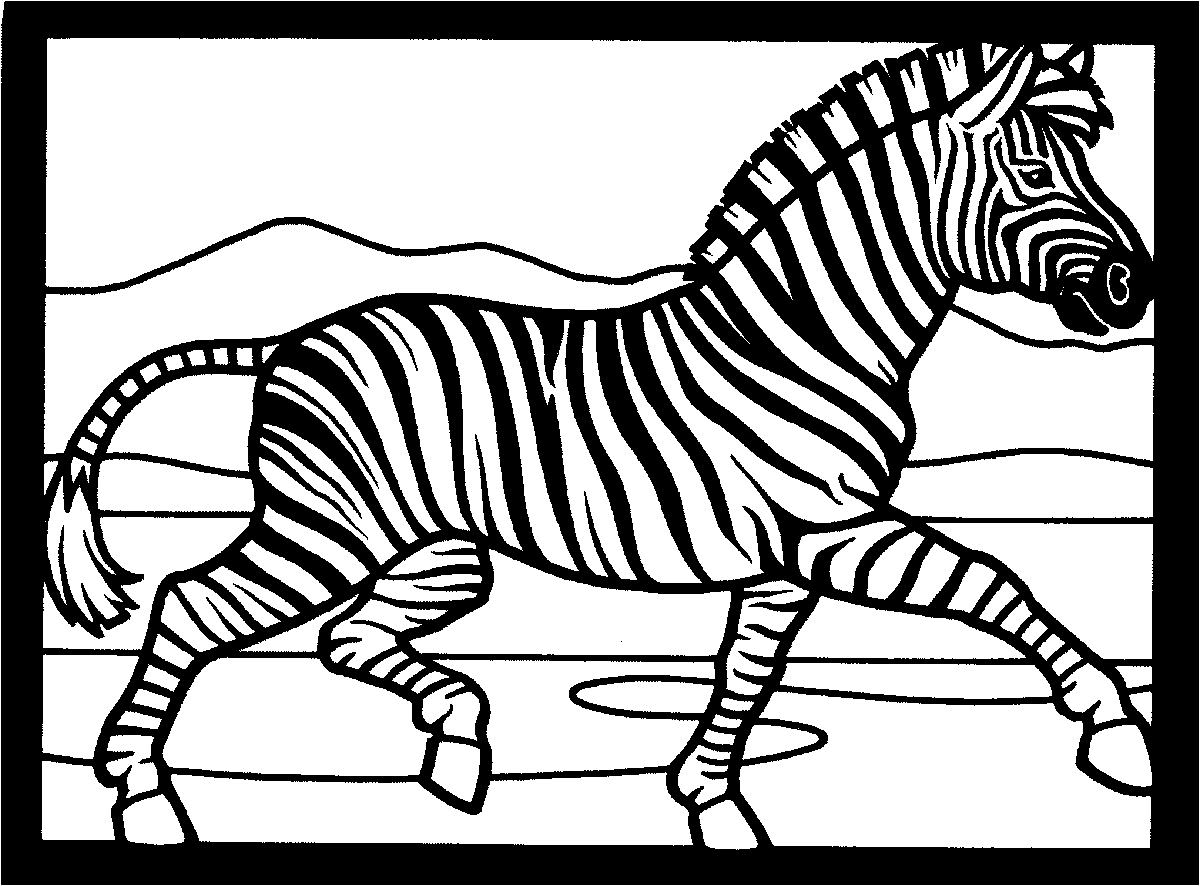 Desenhos para Pintar Desenhos de Zebras para Colorir