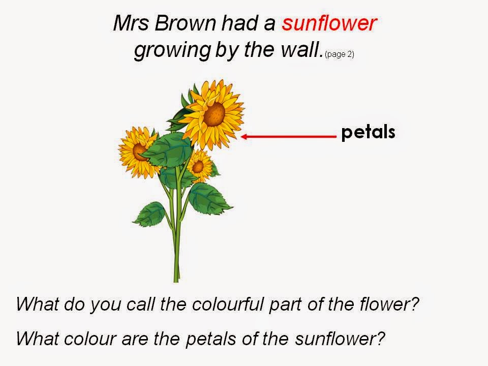 BGPS P31 2015 The Sunflower That Went Flop Vocabulary Slides