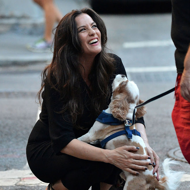 Photo : リヴ・タイラーと愛犬のキャバリア・キングチャールズ・スパニエルのニール ! !