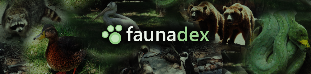 FaunaDex