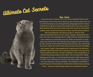 Ultimate Cat Secrets