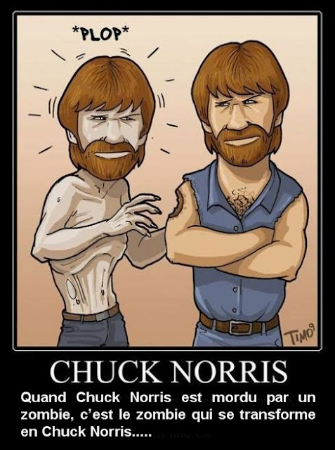 vous allez rencontrer un bel et sombre inconnu vostfr megavideo