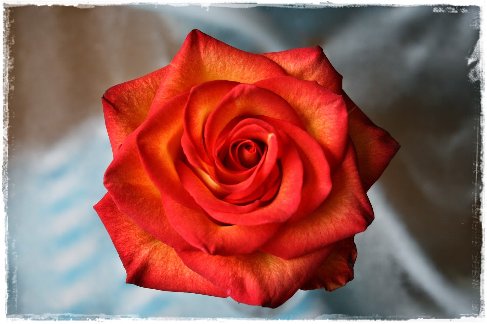 Color...GIVE ME COLOR! Paperesse