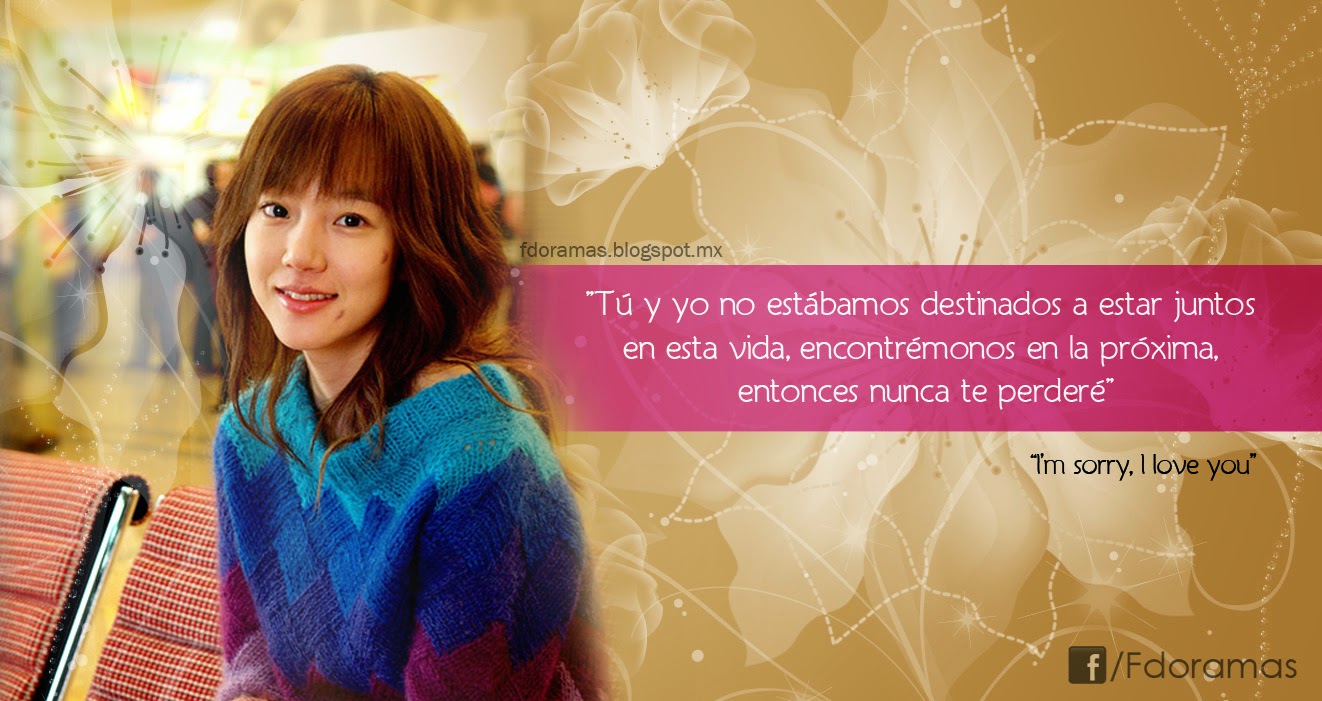 lo siento te amo sorry i love you el milagro del amor creativo the miracle of creative love spanish edition frases doramas frases de i m sorry i love you lo siento te amo sorry i love you el milagro del amor creativo the miracle of creative love spanish edition frases doramas frases de i m sorry i love you