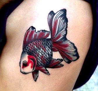 Koi Fish Arm Tattoo Nice Job Tattoos Book 2510 Free