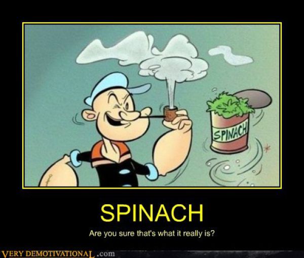 11 Funniest Collection of DeMotivational Pics! sussurroeterno