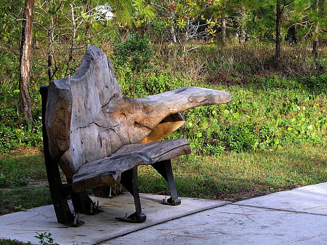 Bench by Christopher Fennell, Wall Springs Park, Palm Harbor, Florida