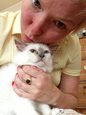 Marshmallow Electra