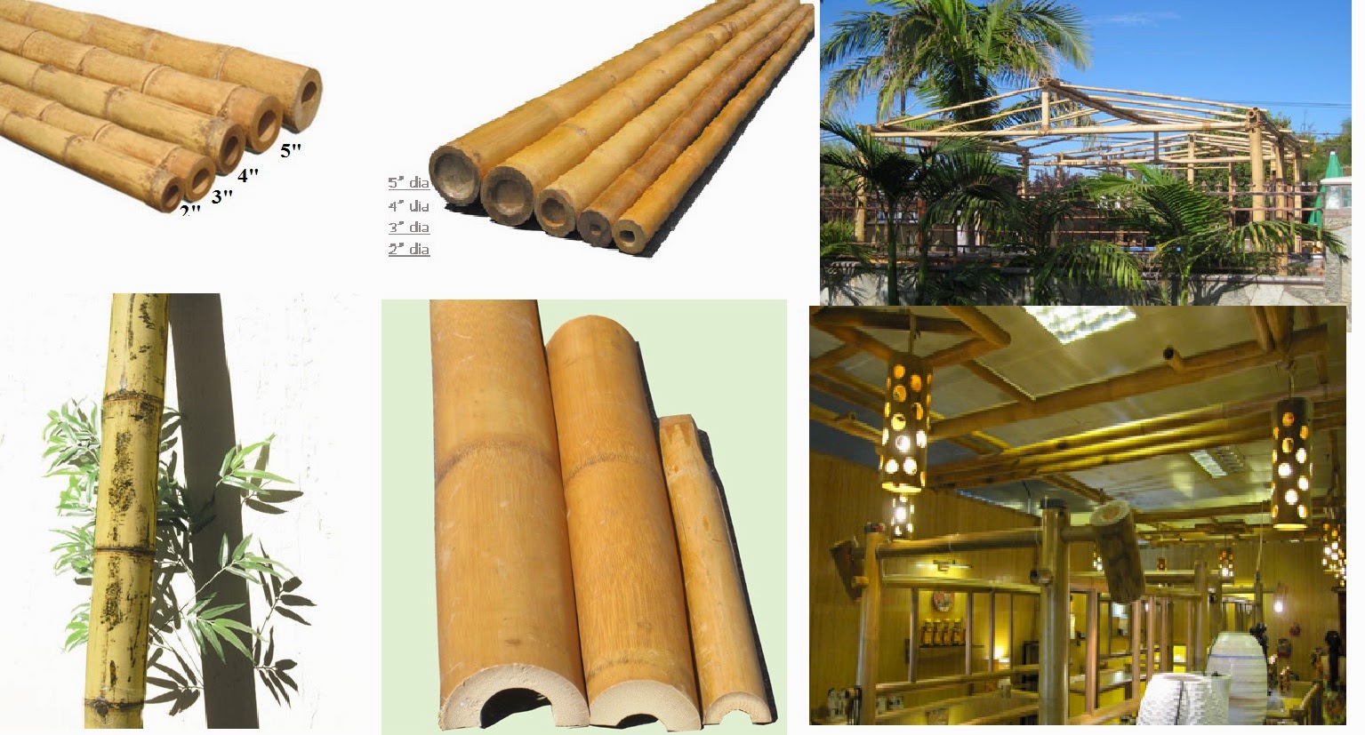 Best Bamboo Cane/ Pole /Stake all decor ideas for Fences,Custom Bamboo