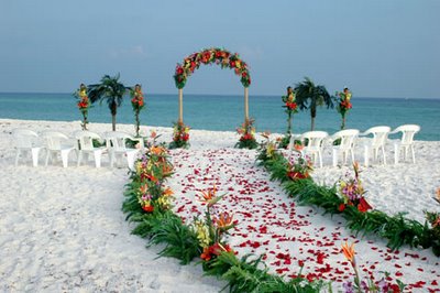 beach wedding photos 