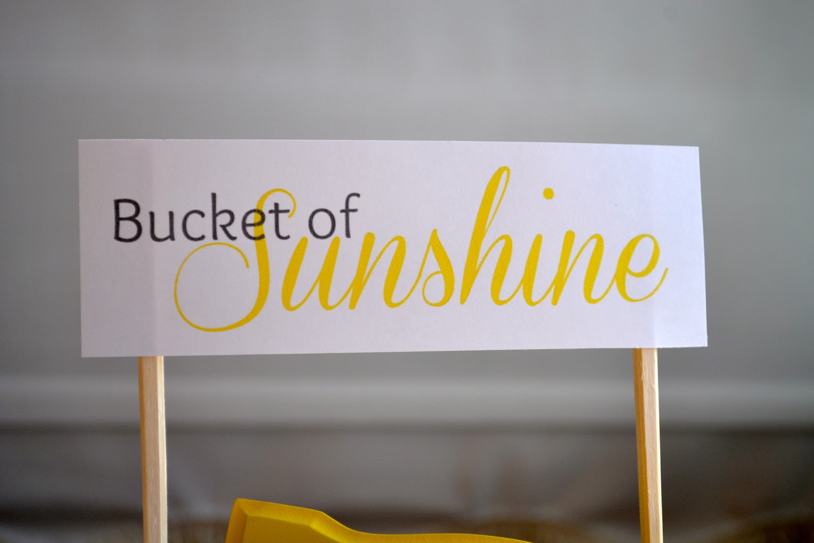 The Domestic Doozie Bucket of Sunshine