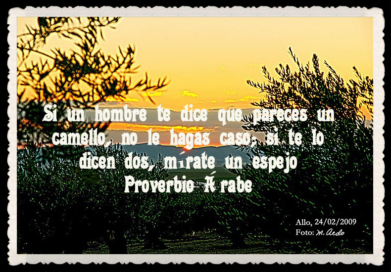 REFLEXIONES..... - Página 37 _1588+JEM+WONG+PROVERBIOS+ARABES