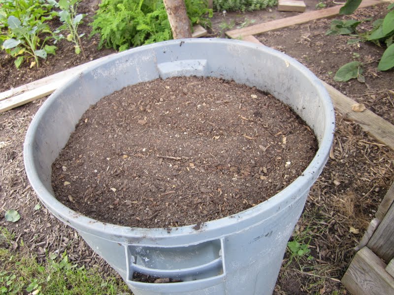 Honey I'm Home Chickens in the City & an Amazing Yard Tour