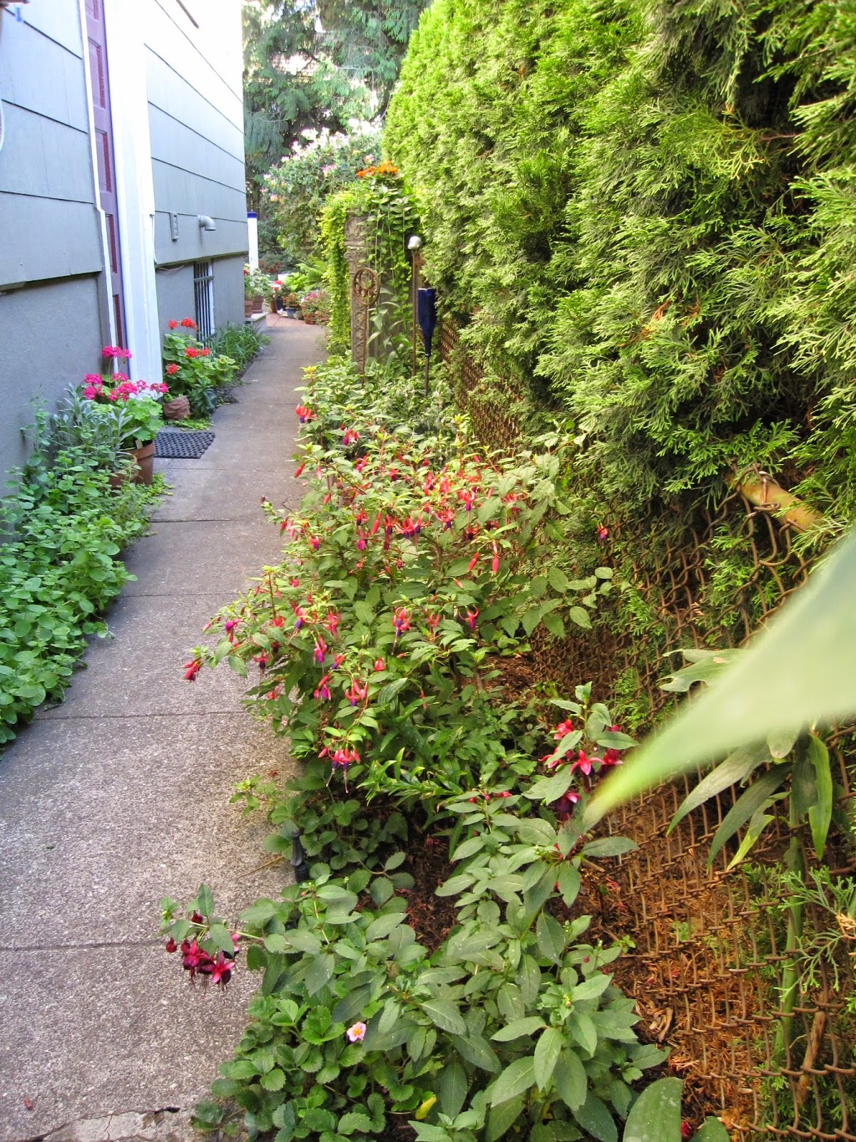 MulchMaid A shady and colorful southeast Portland garden