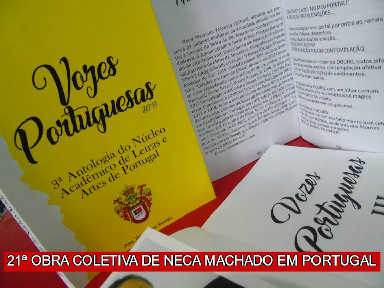 21ª OBRA DE NECA MACHADO EM PORTUGAL-2019