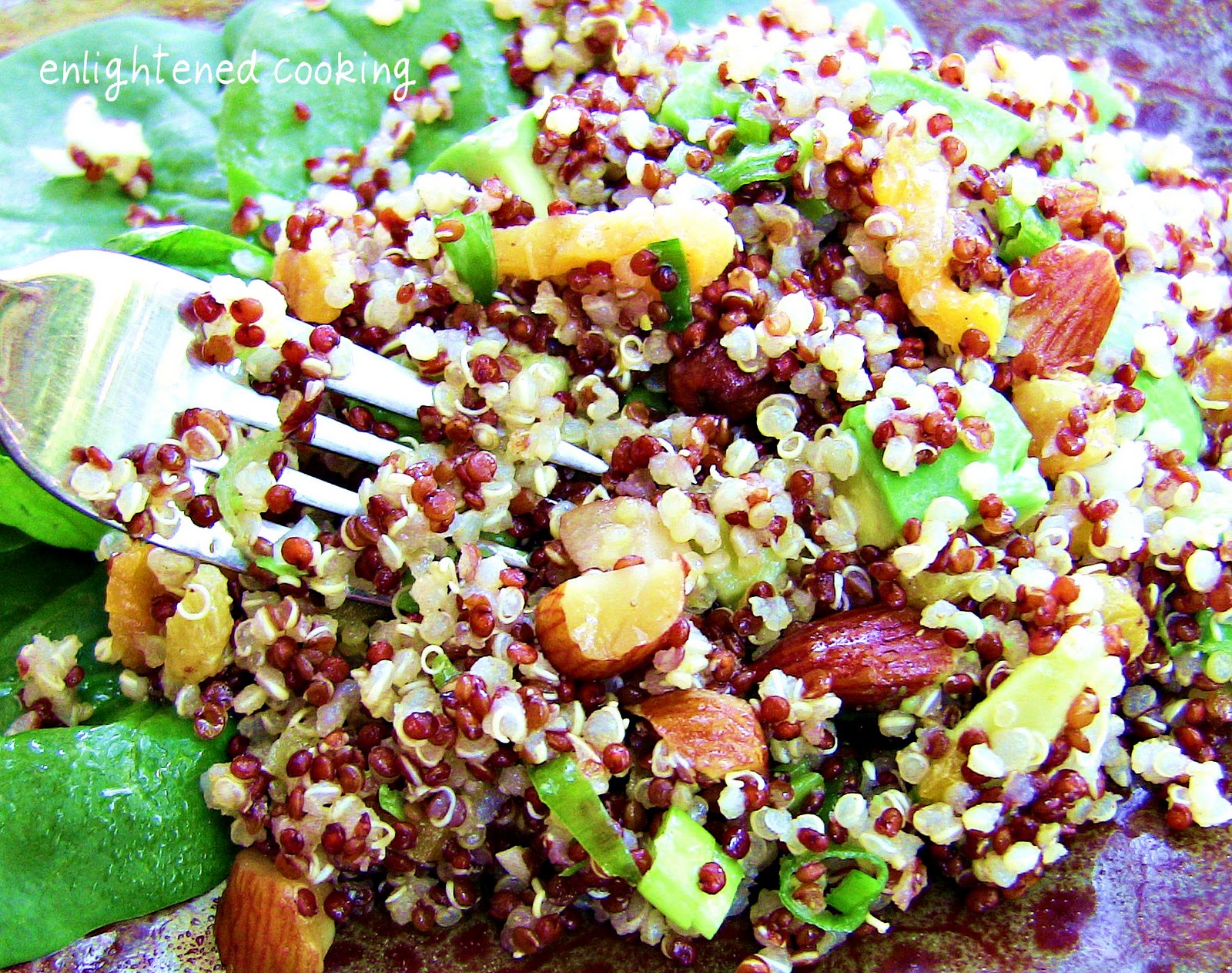 Quinoa Salad with Morroccan Spices, Dried Fruit and Avocado power hungry
