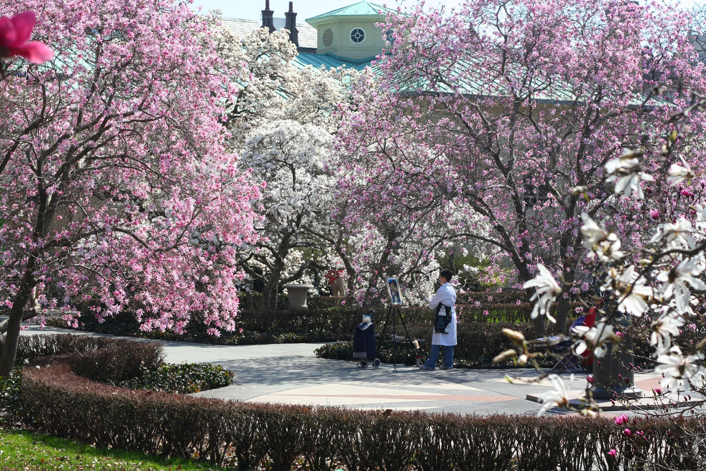 66 Square Feet (Plus): Magnolia Plaza