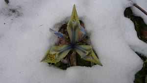 reading via een foto van een bloem