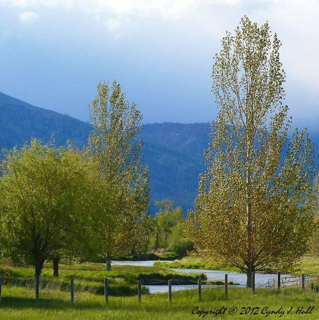 Montana 1 a Stormy Sky, Stevensville, Montana