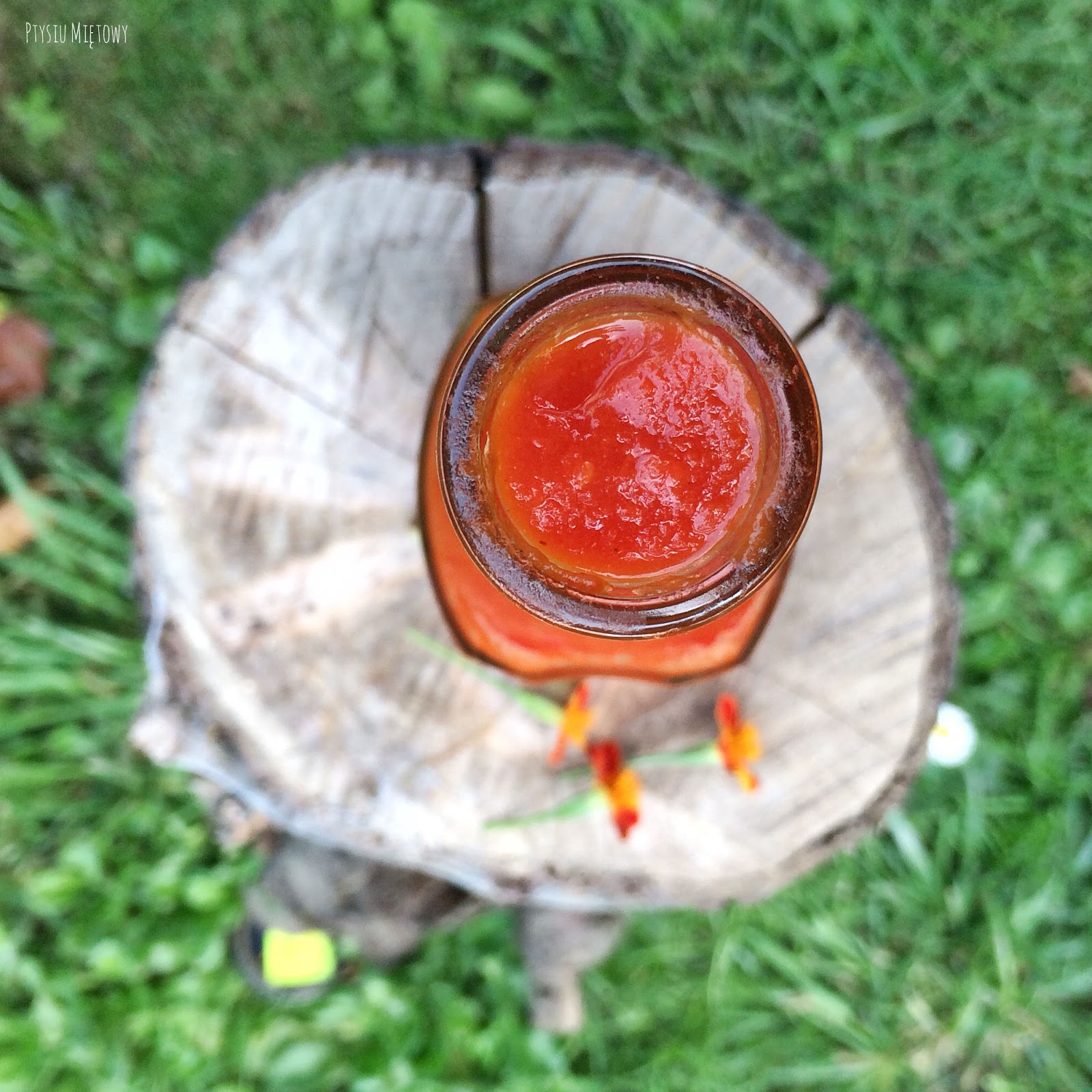 ketchup sos pomidorowy ptysiu mietowy