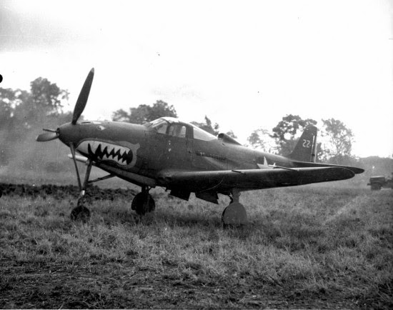 P-39-Airacobra1-550x434.jpg