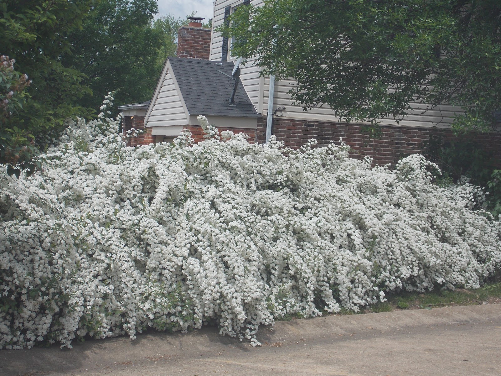 The Schramm Journey Springtime in Missouri