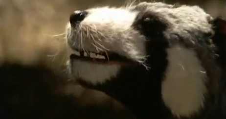 death of a dynasty walking with dinosaurs