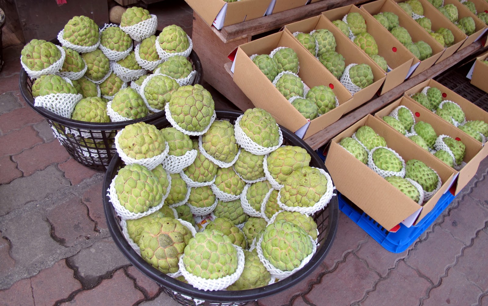 Taiwan The Bradt Travel Guide Know your fruit The custard apple