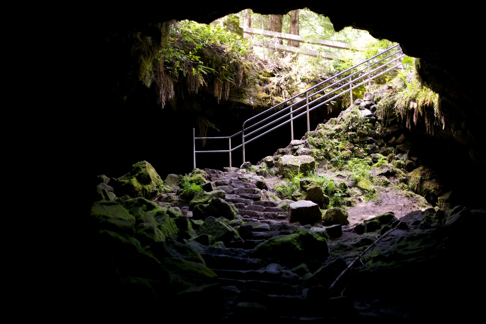 Life at the condo Ape Caves, hike 3
