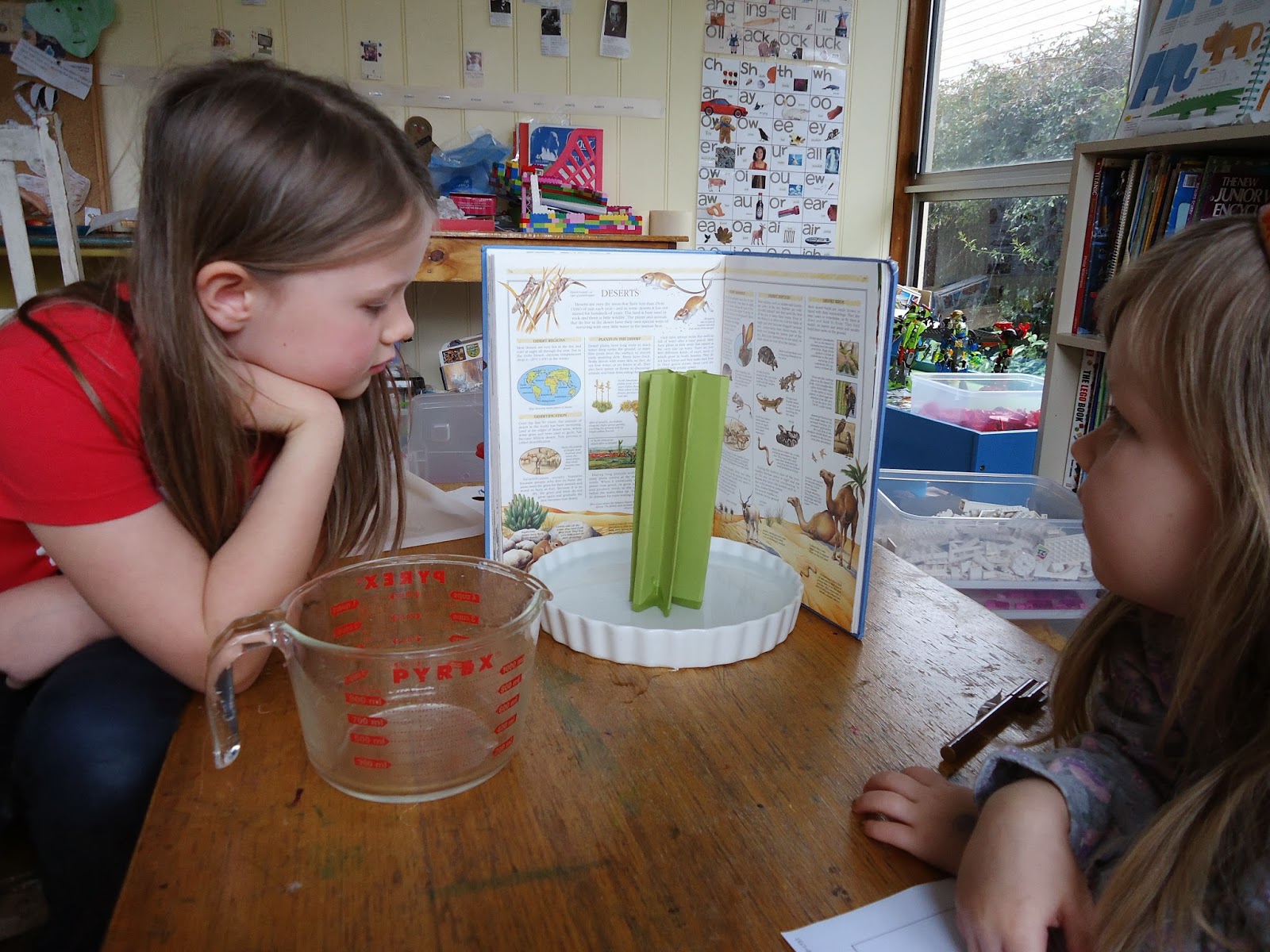 the Torrents Times: Desert science experiment