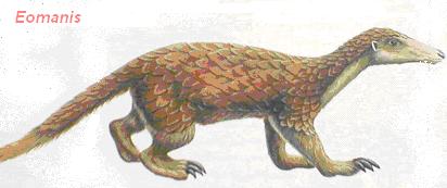 Pholidota extinta Eomanis