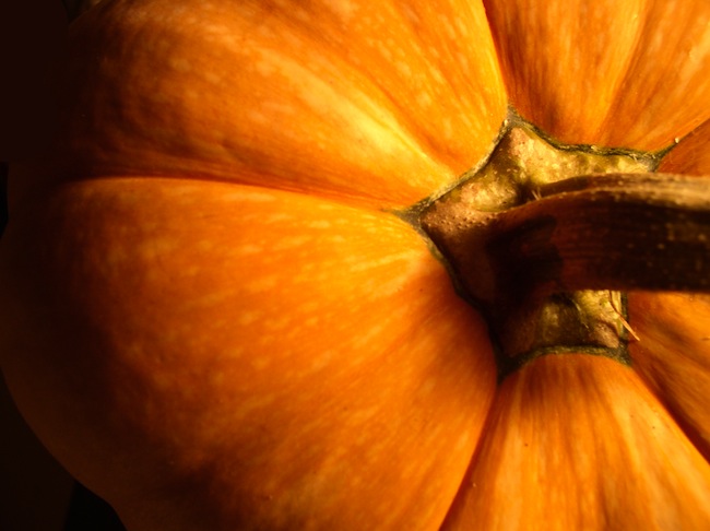 Torta alla Zucca Bimby Torta alla Zucca Bimby