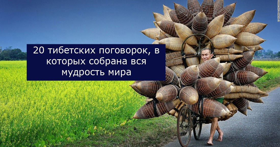 Одежда из волос человека Одежда из волос человека