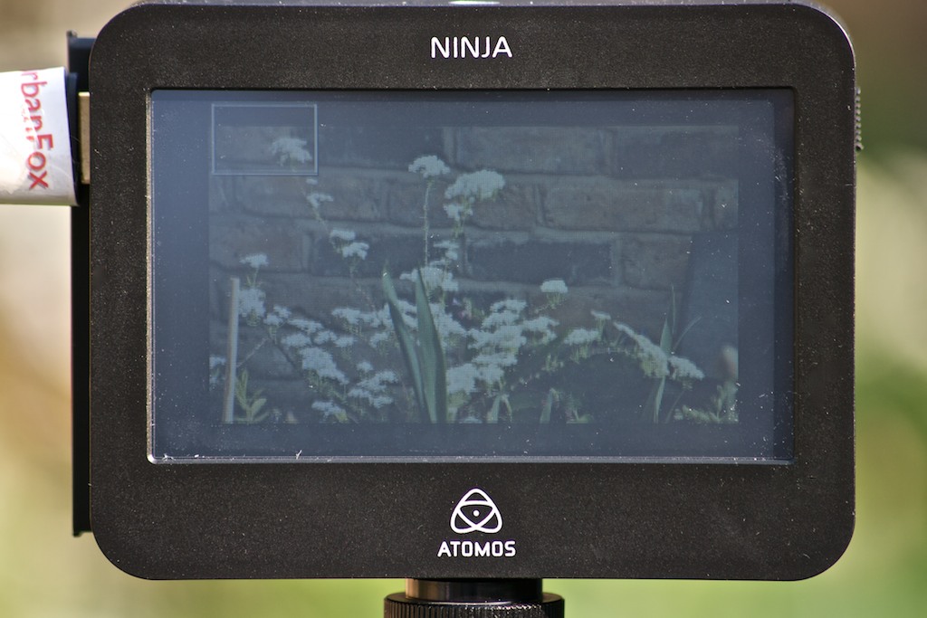 Introducing the Atomos NINJA V Series - Field Monitors Photographers  Shouldn't Be Without