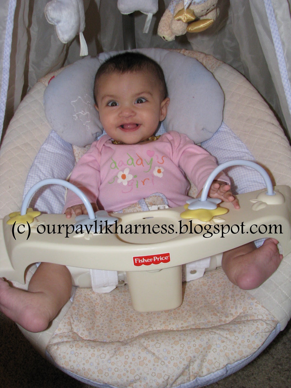 Our Pavlik Harness and journey with Hip Dysplasia Rhino activities