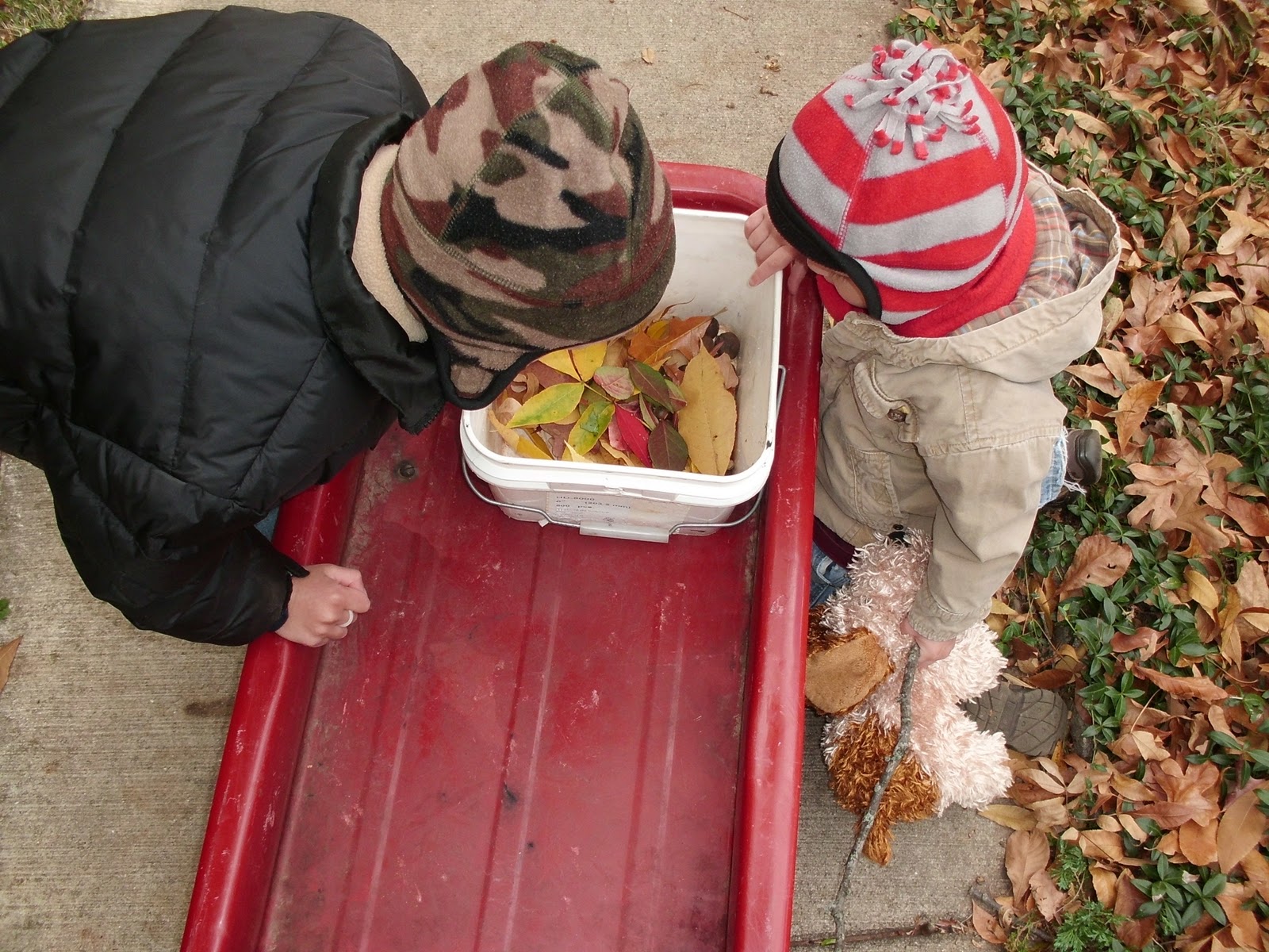 Happy Homeschool: Fall Themed Preschool Activities