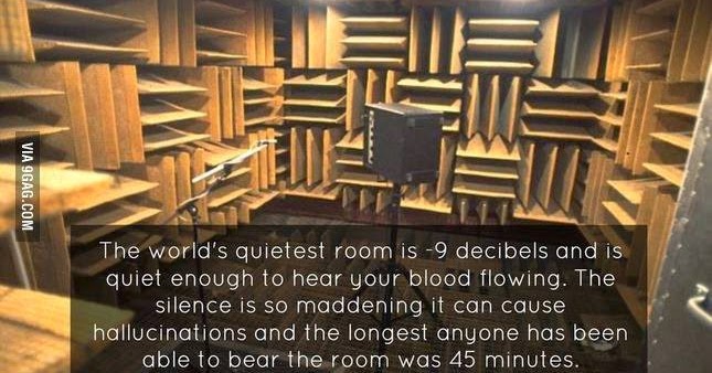 The World S Quietest Room Is 9 Decibels And Is Quiet Enough