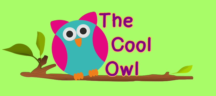 The Cool Owl