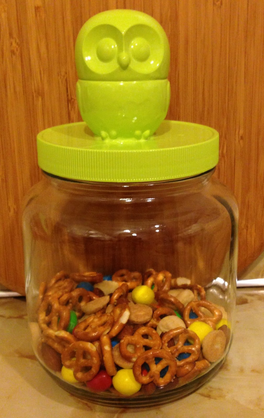 DIY Owl Snack Jar Frugal Family Tree