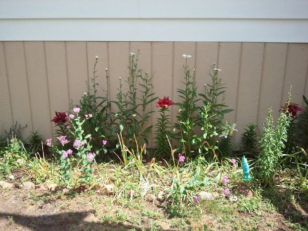 gardening in boroughs of nyc