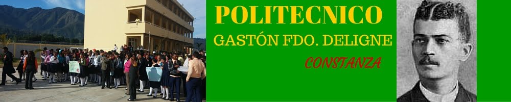                          POLITECNICO GASTÓN F. DELIGNE 