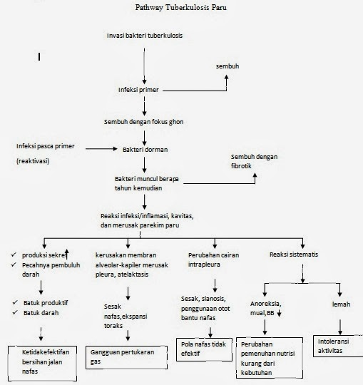 Dwi Ilal Ng Laporan Pendahuluan Lp Tb Paru