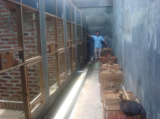 Area Penangkaran Skl Skl Bird Farm