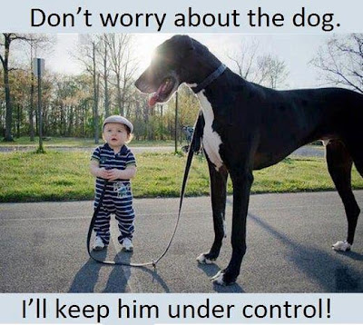 Don't worry about The Dog.