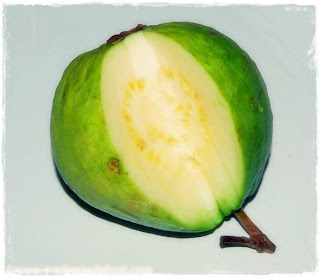 Jambu Susu Jambu Susu