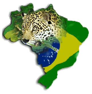 BRASIL MEU BRASIL BRASILEIRO