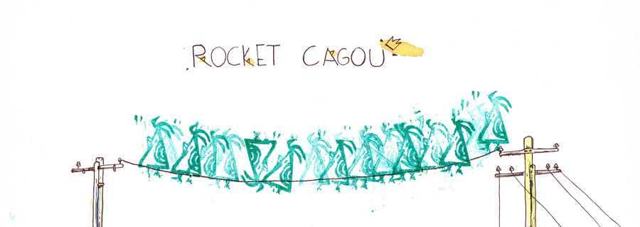 Rocket Cagou